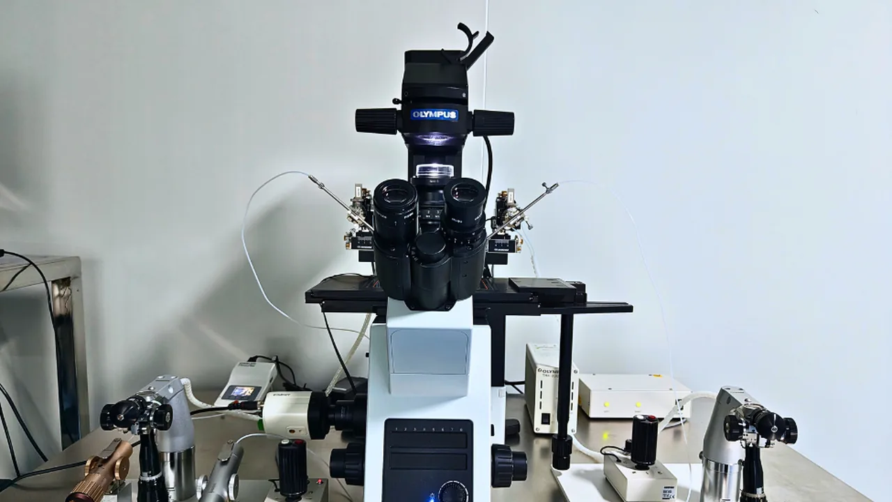 ICSI micromanipulator in the embryology lab